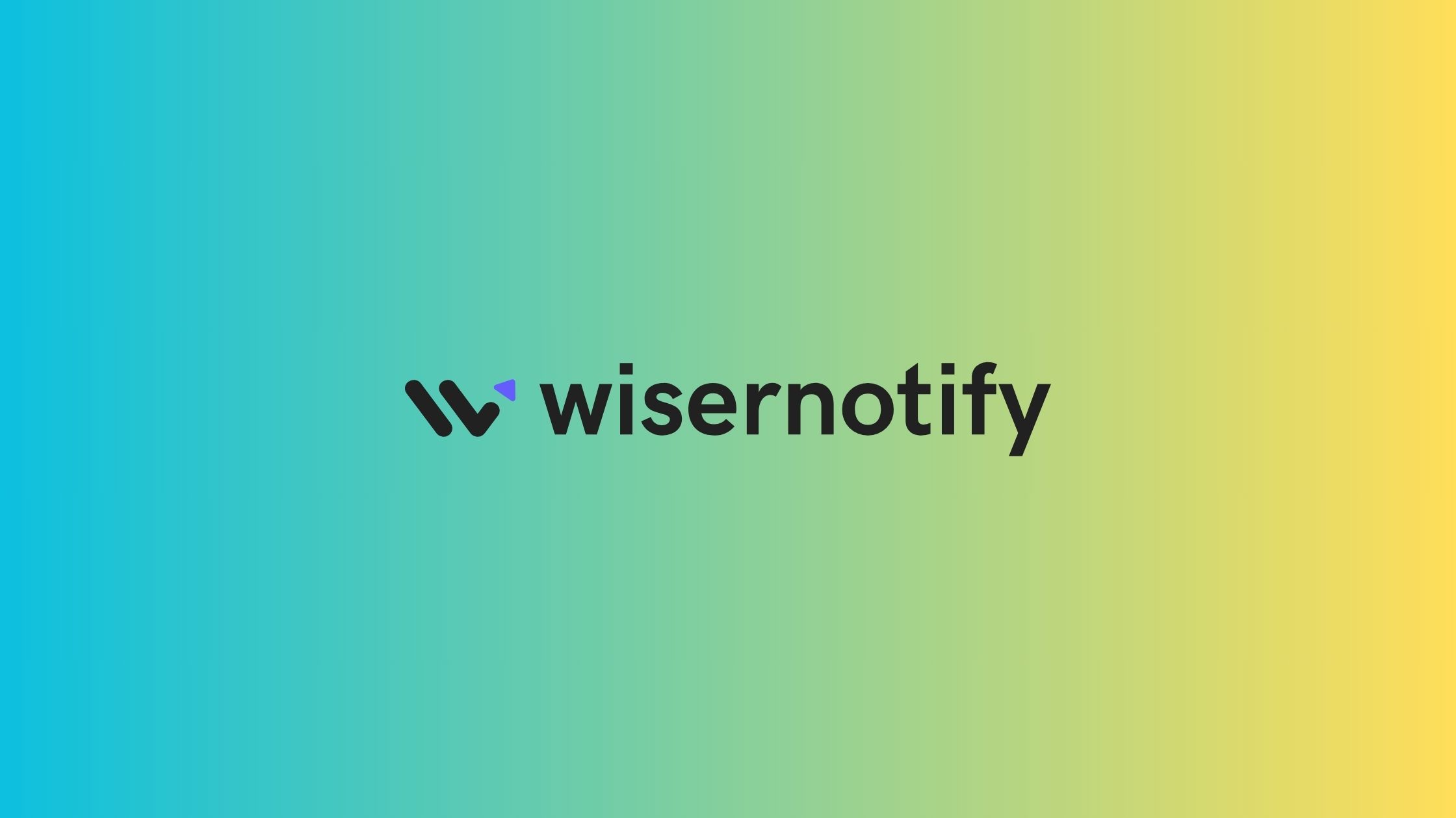 WiserNotify Review