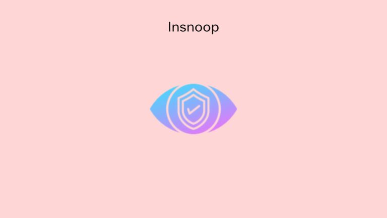Insnoop Instagram Story Viewer