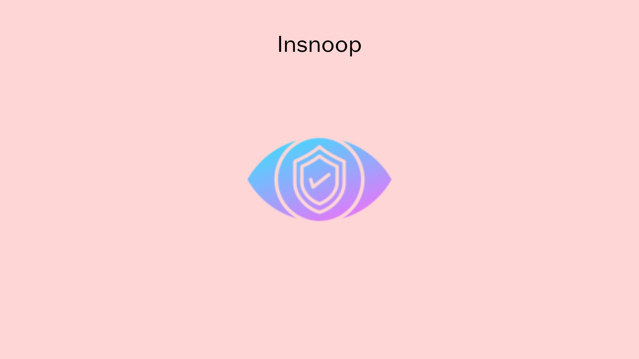 Insnoop Instagram Story Viewer