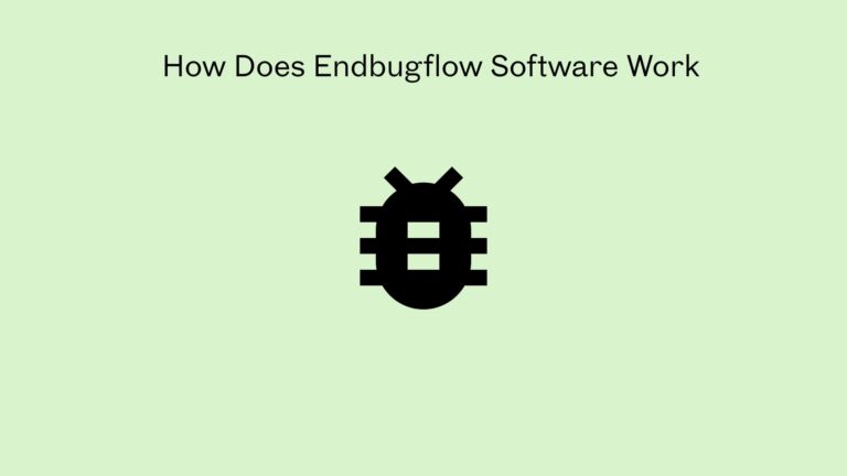 How Does Endbugflow Software Work