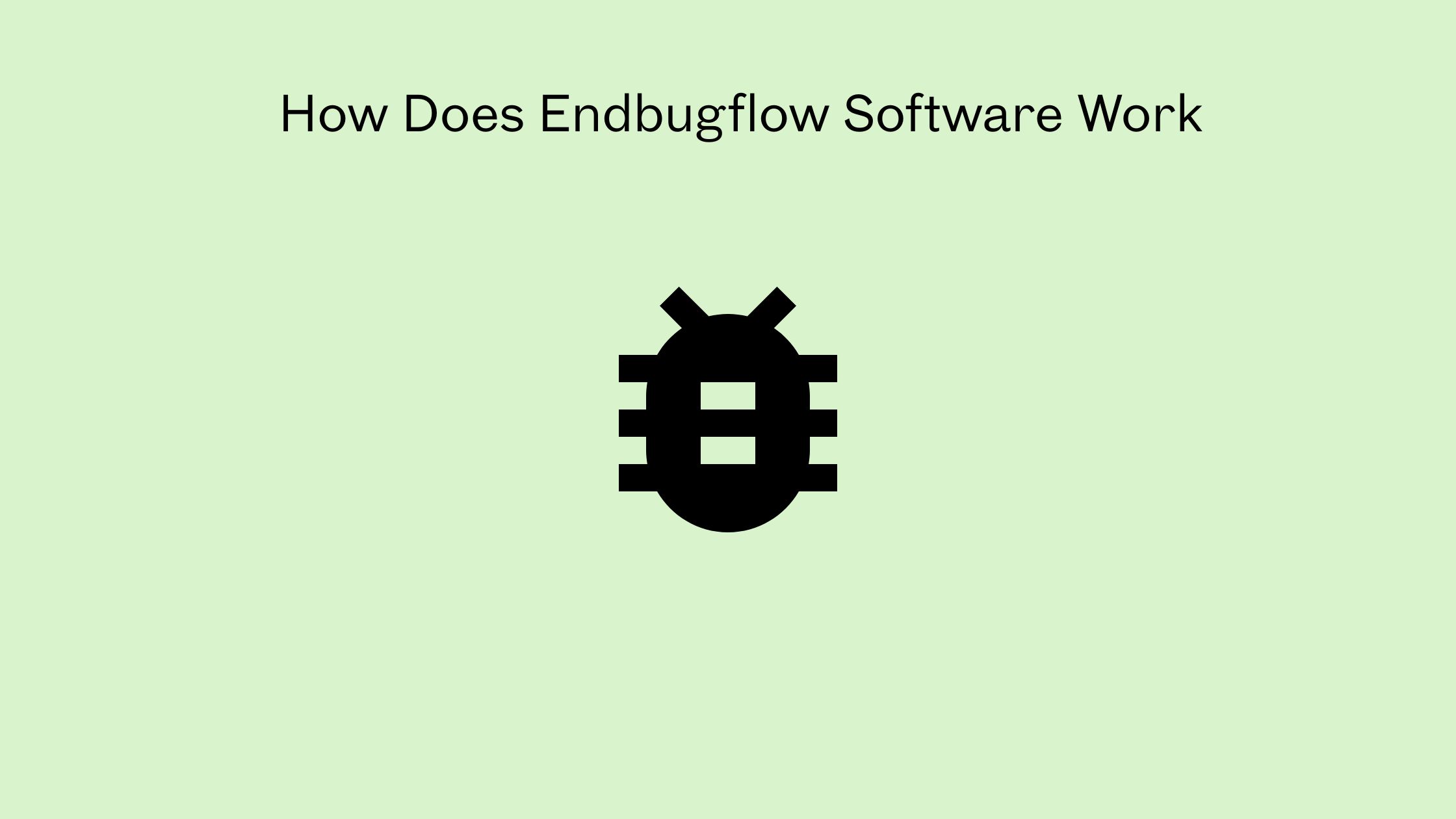How Does Endbugflow Software Work